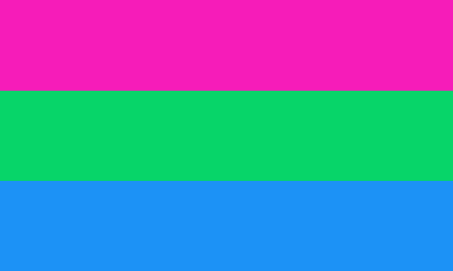 The pink stripe of the Polysexual Pride Flag represents attraction to females, and the blue stripe for males. The green stripe represents an attraction to those who don't conform to either gender.