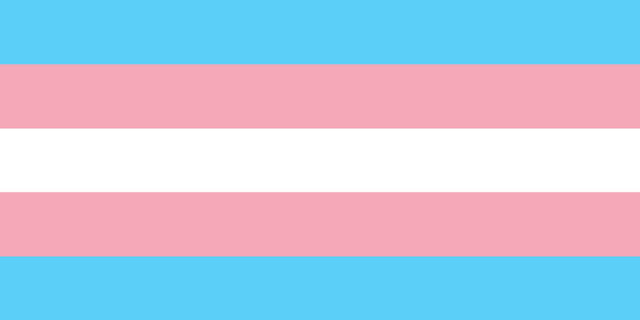 The Transgender Pride flag stripes at the top and bottom are light blue, the traditional color for baby boys. The stripes next to them are pink, the traditional color for baby girls. The stripe in the middle is white for those transitioning or considering themselves to have a neutral or undefined gender.