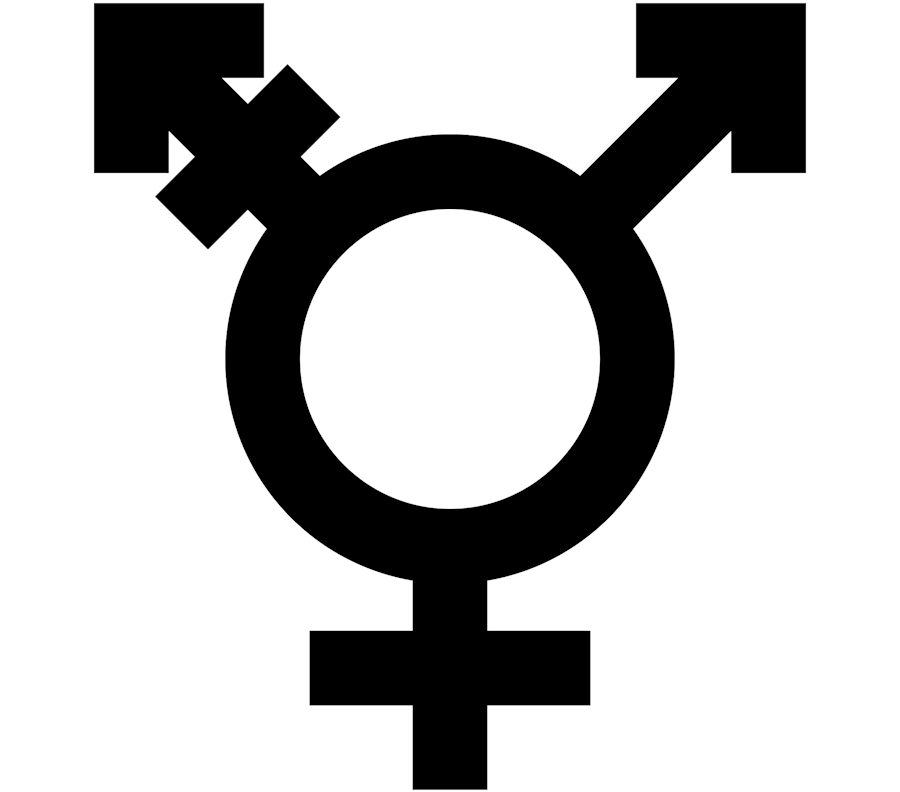 Binary (black and white) transgender symbol.